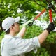 Adelaide Tree Care Pty Ltd