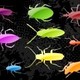 Pest Control Solutions