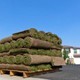 Total Lawn Care Solutions