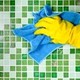 Tidy Master Carpet & Upholstery Care