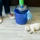 Go-Go Carpet Cleaning