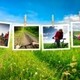 Absolute Capture Photography